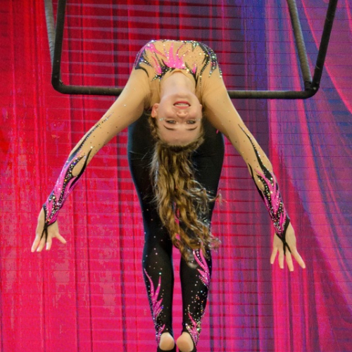 Фестиваль воздушной гимнастики и циркового искусства
